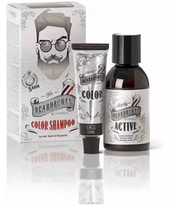 Shampooing couleur Beardburys 9g Gris