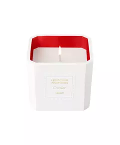 Cartier Les Ecrins Desert Bougie parfumée, 220 g
