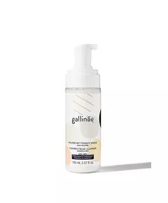 Gallinee Microbiome Skincare Präbiotika und Postbiotika Reinigung Reinigende Schaumcreme, 150 ml
