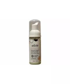 Gallinee Microbiome Skincare Präbiotika und Postbiotika Reinigung Reinigungsschaum, 50 ml