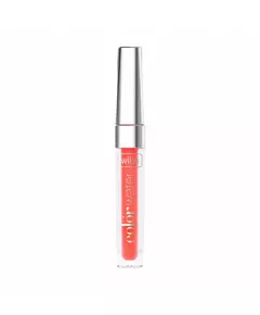 Wibo Color Water Scheinen Lipgloss 3, 2,8 ml