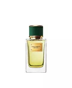 Dolce & Gabbana Velvet Vetiver Eau de Parfum Unisexe, 100 ml