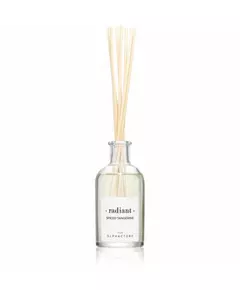 The Olphactory Radiant Spiced Tangerine Duftstäbchen Aroma-Rattanstäbchen-Diffusor, 100 ml