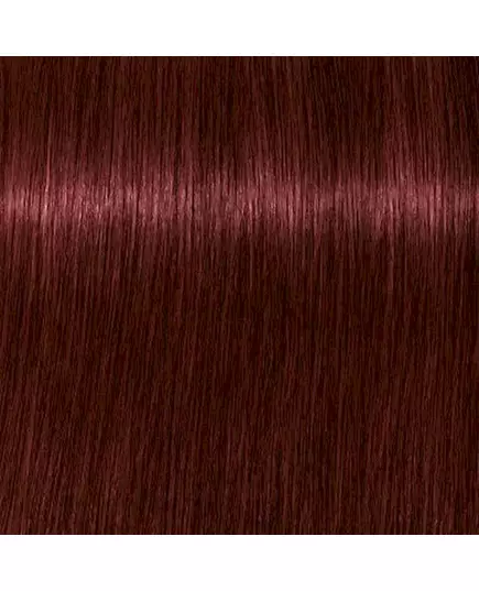 Schwarzkopf Professional Igora Color Hair Dye 10 4-88 60ml, image 3