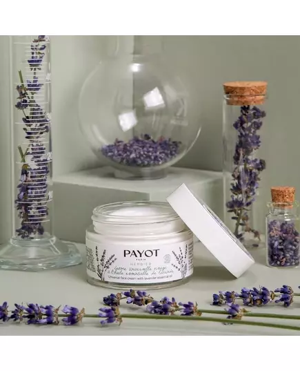 Payot Pv Herbier Creme Universelle Visage Lavande 50 ml, image 4