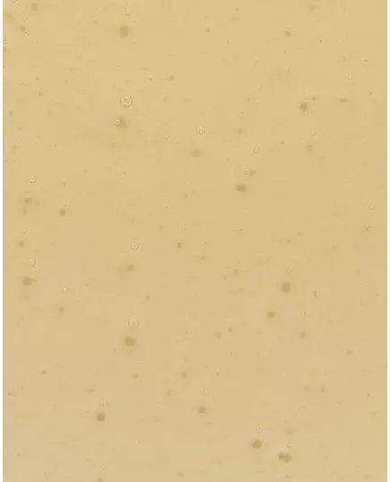 Olivella Raw face & body soap 500ml, image 3