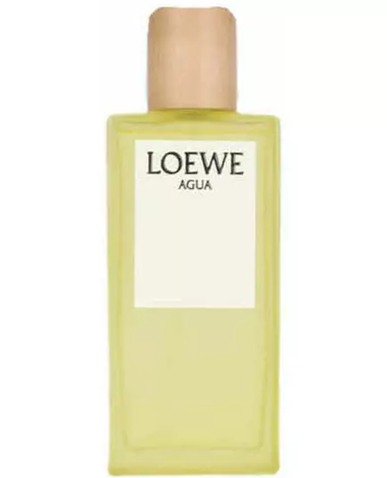 Loewe Agua de Loewe Eau de Toilette 100 ml