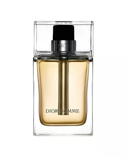 Christian Dior Dior Homme Eau de Toilette Für Männer, 150 ml