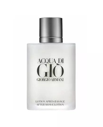 Giorgio Armani Acqua di Gio 100ml