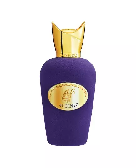 Xerjoff Accento Eau de Parfum 100ml