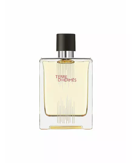 Hermes Terre d'Hermes Flacon H Limited Edition Eau de Toilette Für Männer, 100 ml