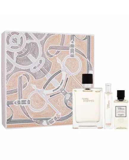 Hermès TERRE D'HERMÈS 3-teiliges Set, 100 ml