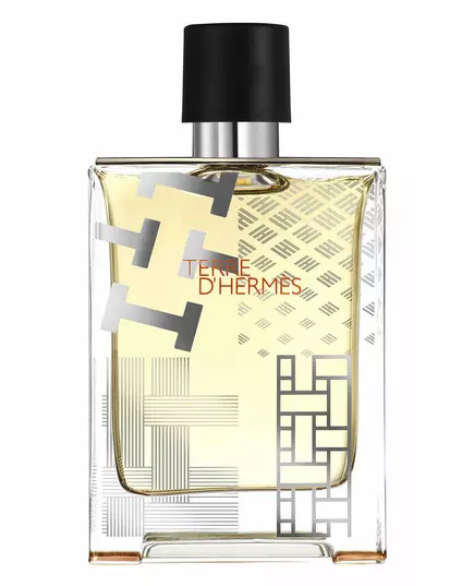 Hermes Terre d'Hermes Flacon H Limited Edition Eau de Toilette Für Männer, 100 ml