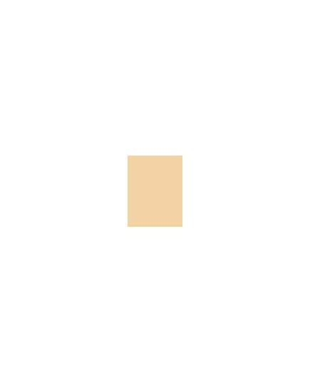 (Instant Anti- Age Perfect & Cover Concealer) 6.8 ml 06 Neutralizer, 8 ml, image 2