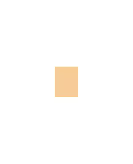 (Instant Anti- Age Perfect & Cover Concealer) 6.8 ml 2 Nude, 6.8 ml, image 2