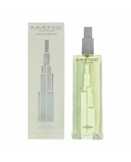 Immense Homme EDT, 50 ml, image 2