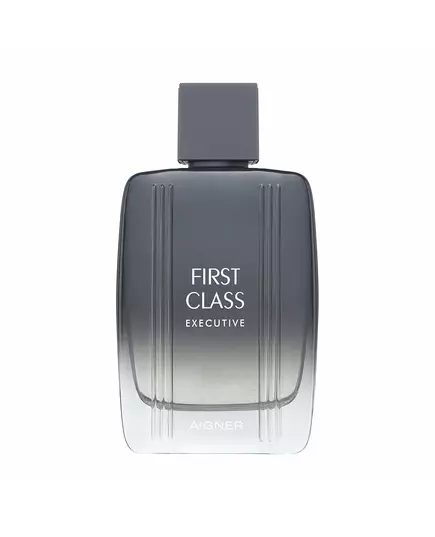 Etienne Aigner First Class Executive Eau de Toilette Pour hommes, 50 ml