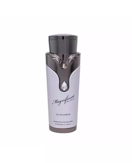Magnificent Homme EDP, 100 ml