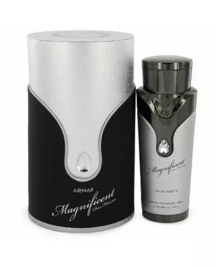 Magnificent Homme EDP, 100 ml, image 2