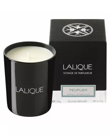 Lalique Peuplier Aspen Etats-Unis Kardamom Duftkerze, 190 g, Bild 2
