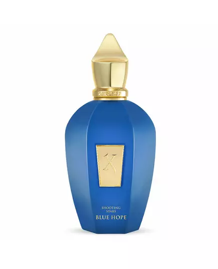 Blue Hope Perfume, 100 ml