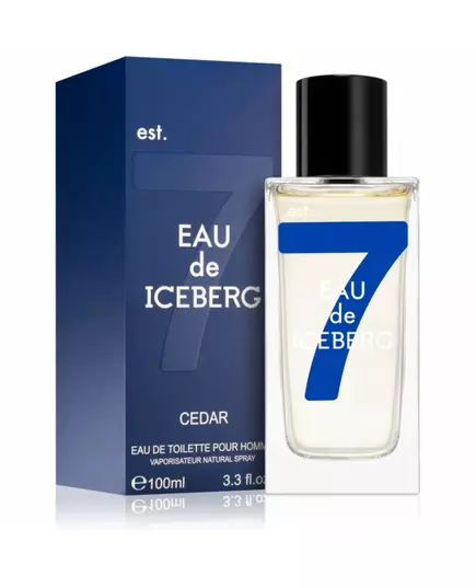 Eau de Iceberg Cedar pour Homme EDT, 100 ml, image 2