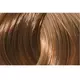 L'ANZA Healing Color Haarfärbemittel 7N (7/0) Dunkles natürliches Blond 90ml, Bild 2