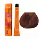 Lakme Gloss 6/40 Couleur permanente 60 ml, image 3