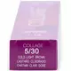 Lakme Collage 5/30 Permanent Color 60ml, image 3