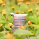 Jurlique Nutri Define Supreme Augenkontur-Balsam 15ml, Bild 2