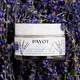 Payot Herbier Crème Universelle 50 ml, image 5