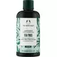 The Body Shop Tea Tree conditioner 250ml