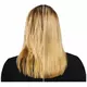 REDKEN Extreme Anti-Snap Treatment 250 ml, image 5