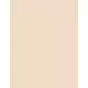 Revlon PhotoReady Candid Anti-Pollution Loose Setting Powder 001, 15 g, image 2