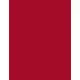 Max Factor Nailfinity Vitamin E Glanzfinish Nagellack 300 Ruby Tuesday, 12 ml, Bild 2