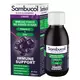 Sambucol Immuno Forte Sugar Free Black Eldeberry Vitamin C & Zinc Support The Immune System Syrup, 120 ml, image 2