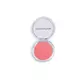 Makeup Revolution Blush Reloaded Pink Lady Matte Blush Compact Powder Pink Lady, 7.5 g
