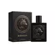 Rayhaan Wolf Edp, 100 ml, image 2